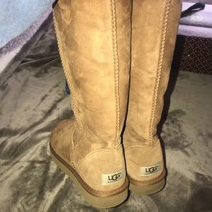 BRAND NEW tall chestnut uggs
